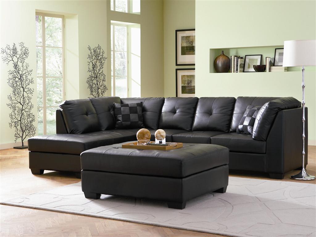 Darie Collection Sectional (Black) cs500606